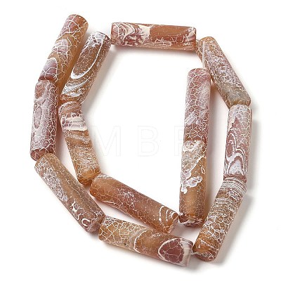 Natural Weathered Agate Beads Strands G-Q169-A04-01-1