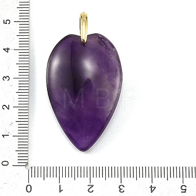 Natural Amethyst Pendants G-G470-03G-05-1