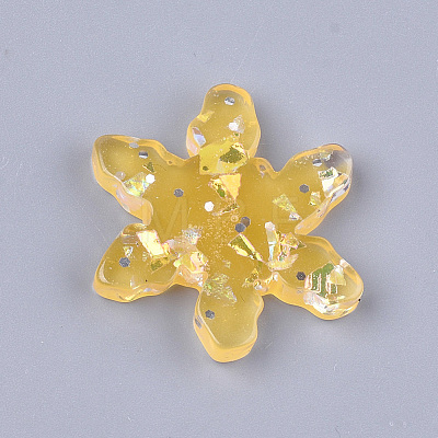 Translucent Resin Cabochons CRES-S304-110-1