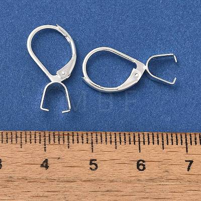 Ion Plating(IP)  304 Stainless Steel Leverback Earring Findings STAS-U025-01S-01-1