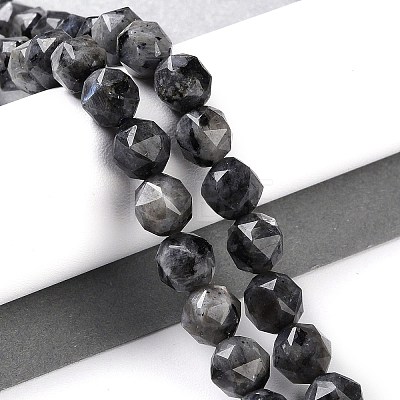 Natural Larvikite Beads Strands G-NH0021-A04-01-1