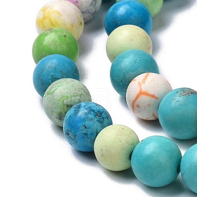 Natural Howlite Beads Strands G-C180-20-1