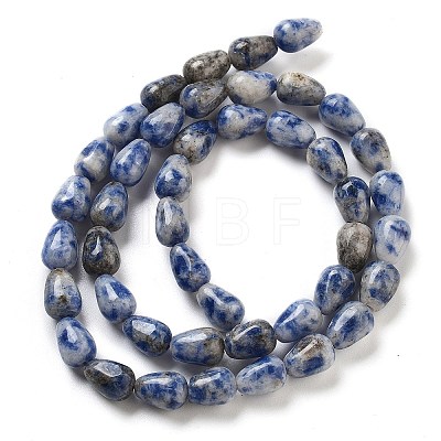 Natural Blue Spot Jasper Beads Strands G-B106-A15-01-1