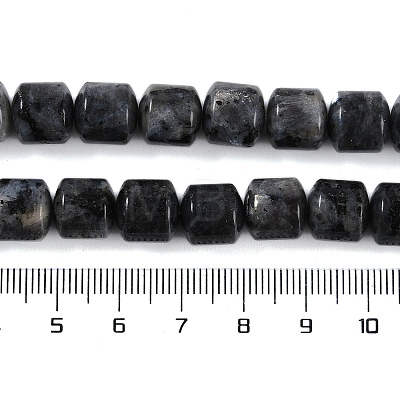 Natural Larvikite Beads Strands G-L604-E07-01-1