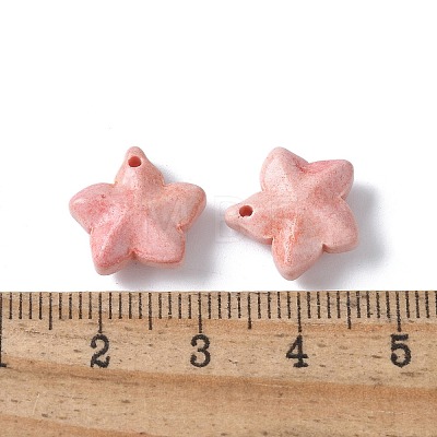 Natural Rainbow Alashan Agate Charms LS-G-G194-02D-1