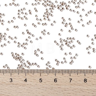 TOHO Round Seed Beads SEED-JPTR15-0740-1