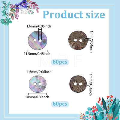 120Pcs 2 Styles Natural Paua Shell Buttons BUTT-ME0001-43-1