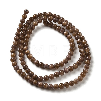 Natural Freshwater Shell Beads Strands SHEL-H003-03D-1