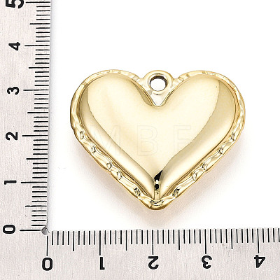 Acrylic Pendants OACR-T030-32A-1