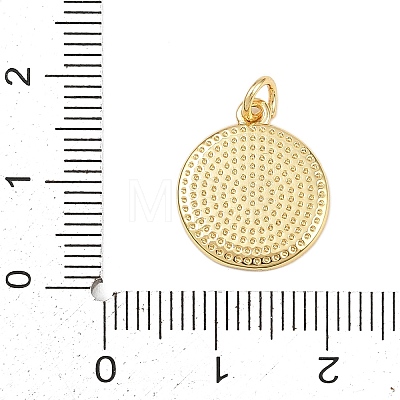 Brass Enamel Pendants KK-L251-02G-B05-1