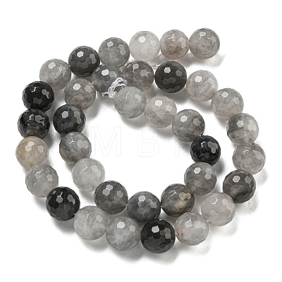 Natural Cloudy Quartz Beads Strands G-E571-A08-03-1