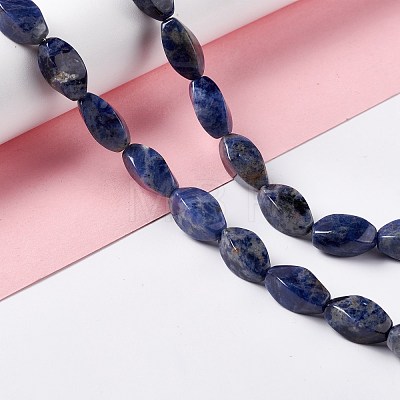 Natural Sodalite Beads Strands G-L243A-18-1