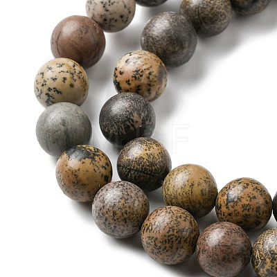 Natural Dendritic Jasper Beads Strands G-E598-01-1