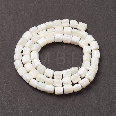 Natural Sea Shell Column Bead Strands SSHEL-M014-22-A-1