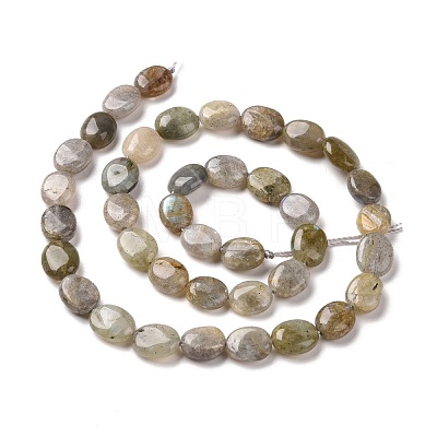 Natural Labradorite Beads Strands G-C238-37-1