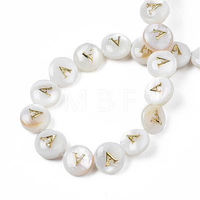 Natural Freshwater Shell Beads SHEL-S276-168A-1
