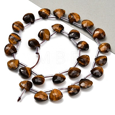 Natural Tiger Eye Beads Strands G-C292-A08-01-1