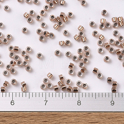 MIYUKI Delica Beads X-SEED-J020-DB0037-1