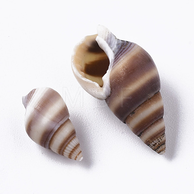 Natural Spiral Shell Beads SSHEL-S258-84-1