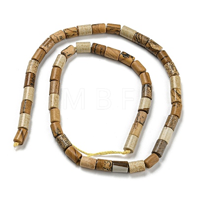 Natural Picture Jasper Beads Strands G-Q1008-A11-1