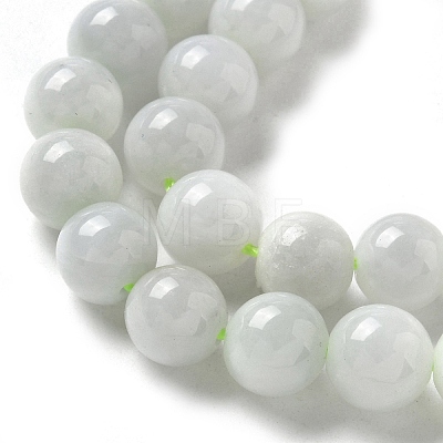 Natural Myanmar Jadeite Beads Strands G-L595-C01-02-1