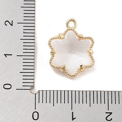 Brass Inlay Clear Glass Pendants KK-Z061-05G-1