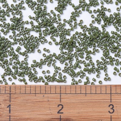 MIYUKI Delica Beads SEED-X0054-DB1135-1