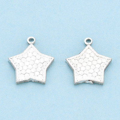 925 Sterling Silver Charms STER-T006-17S-1