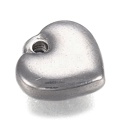 304 Stainless Steel Charms STAS-I166-12A-1
