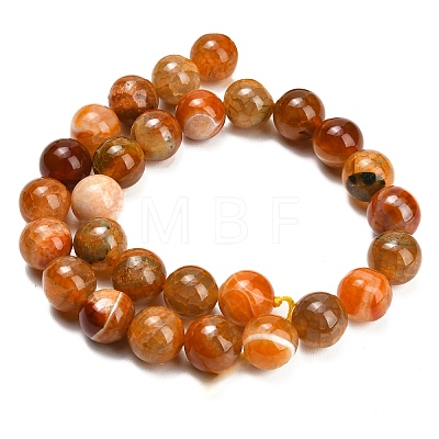 Natural Dragon Veins Agate Beads Strands GG-L001-L01-01F-1