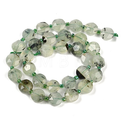 Natural Prehnite Beads Strands G-C116-A19-01-1