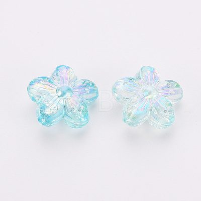 Transparent Acrylic Beads LS-TACR-S154-45C-754-1