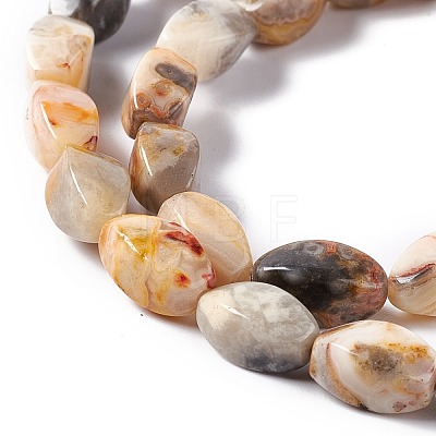 Natural Crazy Agate Beads Strands G-L243B-20-1