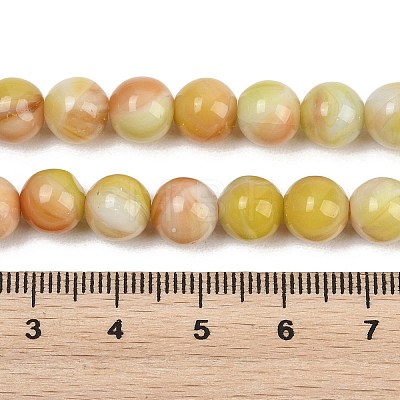 Handmade Lampwork Beads Strand LAMP-B056-8mm-10-1