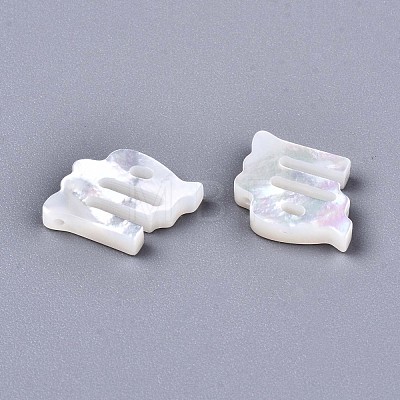 Natural White Shell Beads X-SSHEL-ZX004-02A-1