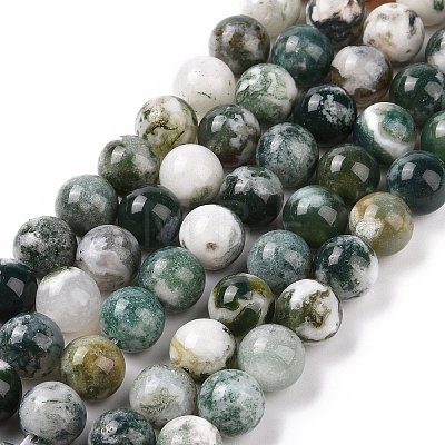 Natural Tree Agate Beads Strands G-K194-6mm-02-1