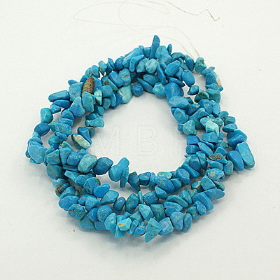 Natural Magnesite Chips Beads Strands F029-1