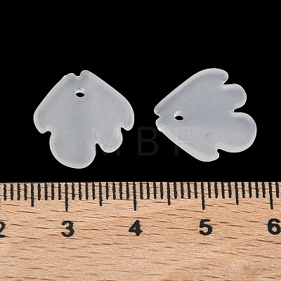 Frosted Acrylic Pendants SACR-F016-02A-1