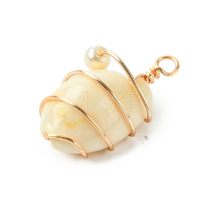 Natural Cowrie Shell Copper Wire Wrapped Pendants PALLOY-TA00196-01-1