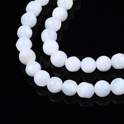 Natural Freshwater Shell Beads Strands SHEL-N003-24-1