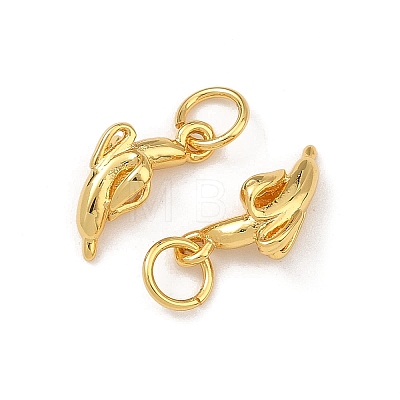 Brass Charms KK-F941-42B-G-1
