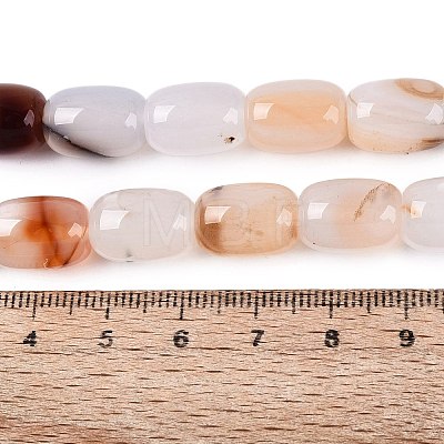 Natural Agate Beads Strands G-N356-02B-13-1