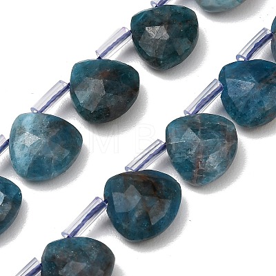 Natural Apatite Beads Strands G-C292-A06-01-1