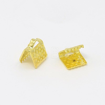 Iron Ribbon Crimp Ends E004Y-G-01-1