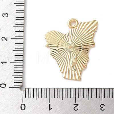 Alloy Enamel Pendants LS-FIND-D276-01B-02-1