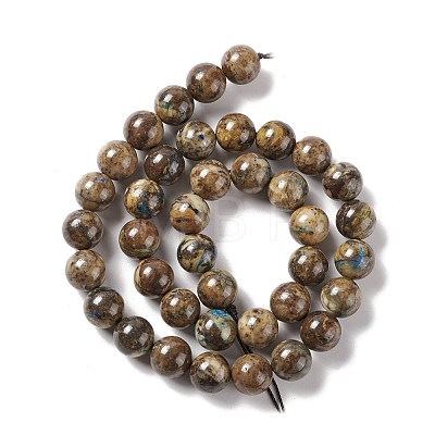 Natural Chrysocolla Beads Strands G-E584-03A-1