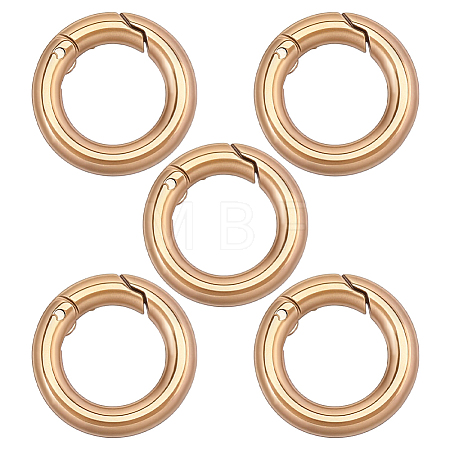5Pcs 304 Stainless Steel Spring Gate Clasp Findings STAS-HY0002-14G-1