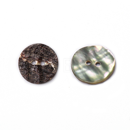 Abalone Shell/Paua Shell BSHE-I011-04A-1