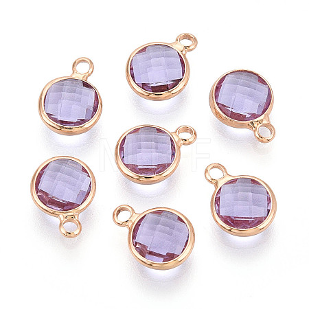 Golden Tone Brass Glass Charms X-GLAA-ZX008-24I-G-1