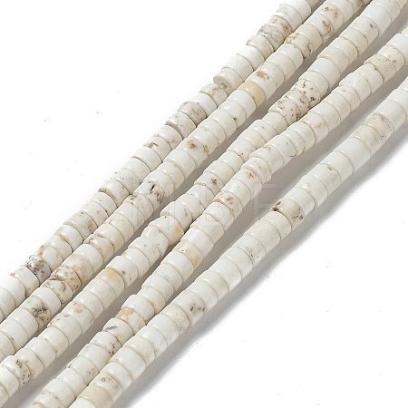 Natural Howlite Beads Strands G-E604-A01-B-1